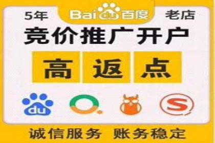 SEM广告投放的精准定位与优化案例